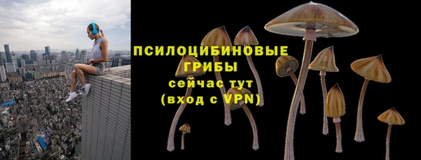 героин Алзамай
